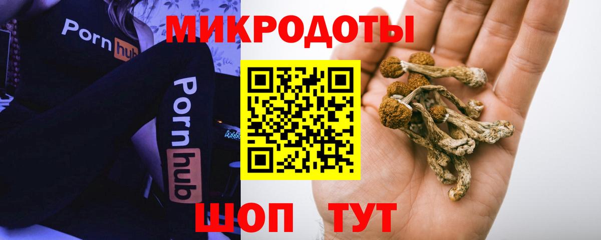 Гулькевичи  Псилоцибиновые грибы мухоморы  Вход с VPN 